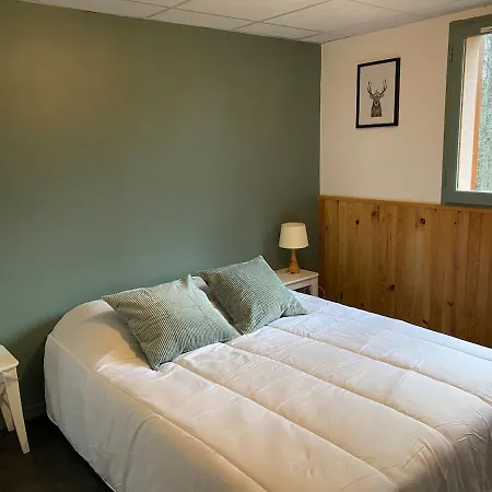 Appartement 12 Personnes Mont-dore *